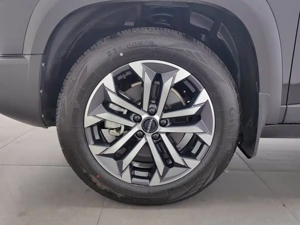 Haval Big Dog — миниатюра 17