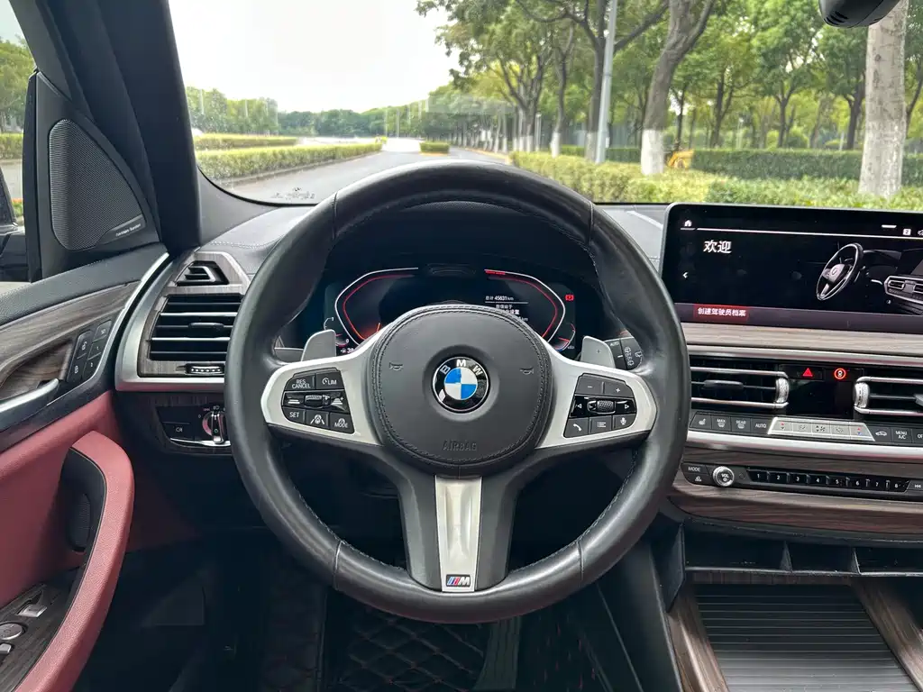 BMW X3 — миниатюра 12