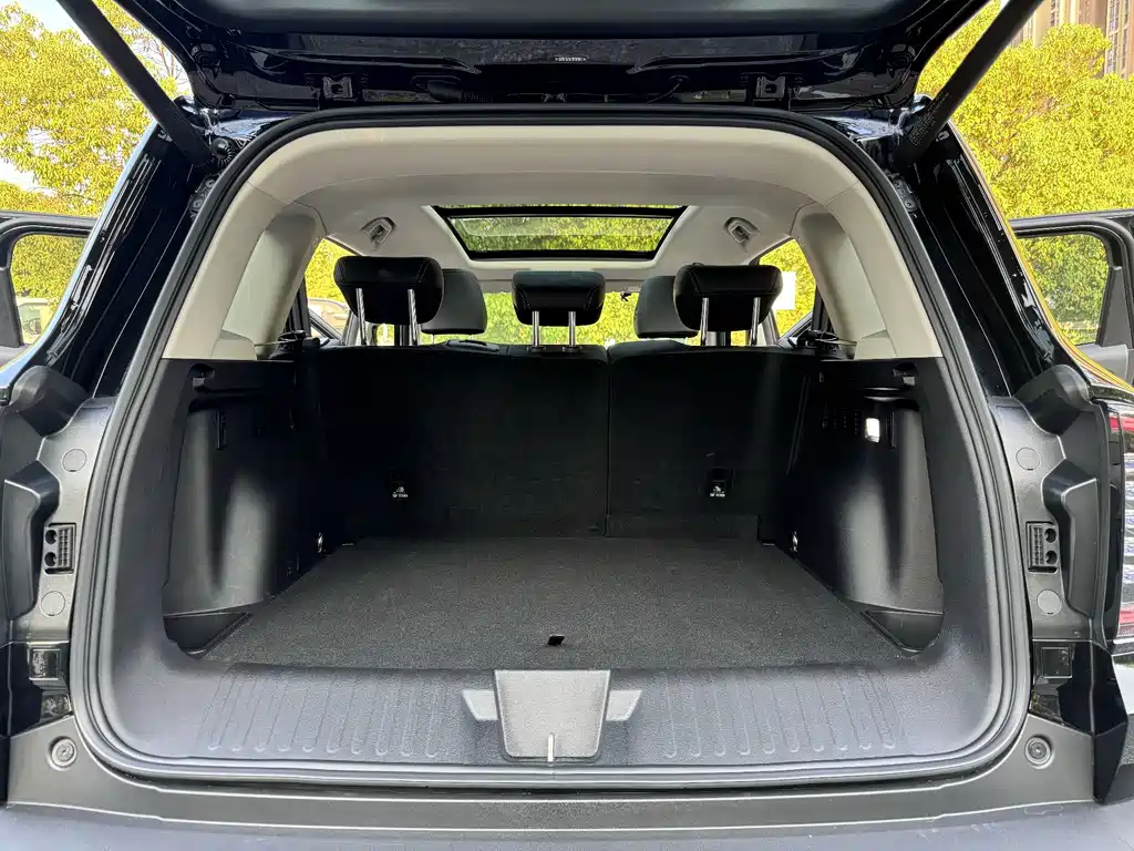 Haval Big Dog — миниатюра 15