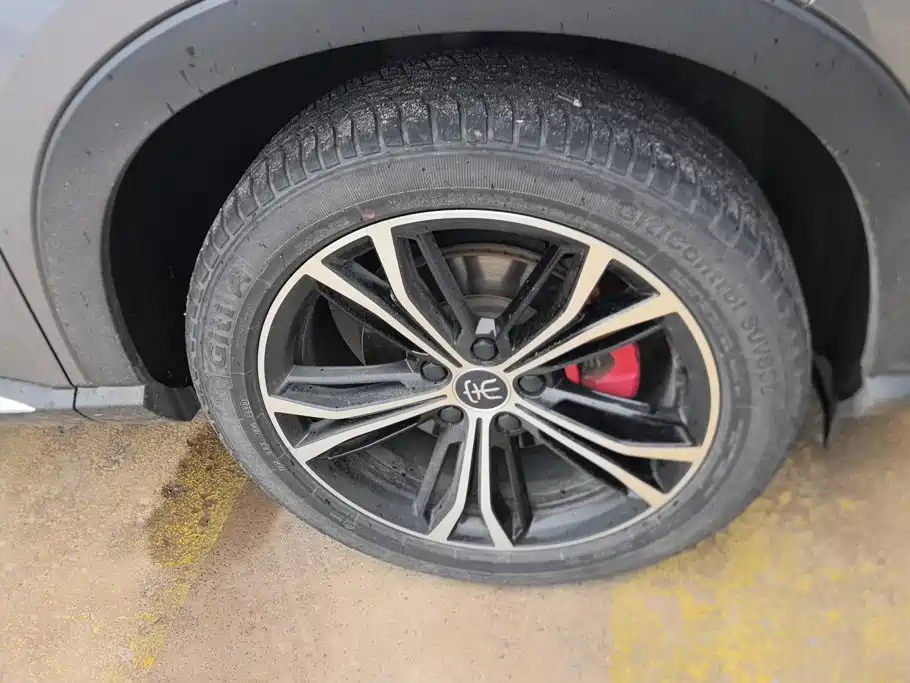 BYD PLUS — миниатюра 6