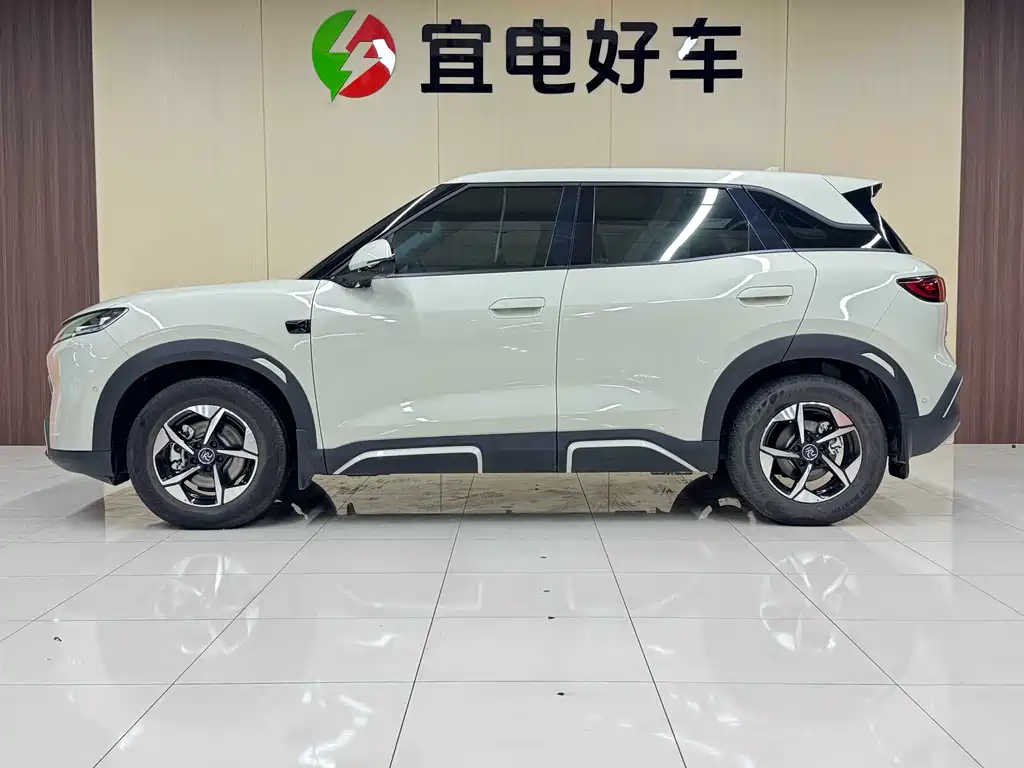 BYD Yuan Up UP 2025 Smart Drive 401KM Lead