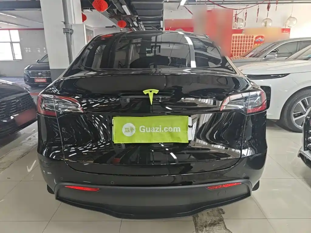 Tesla Model Y — миниатюра 6