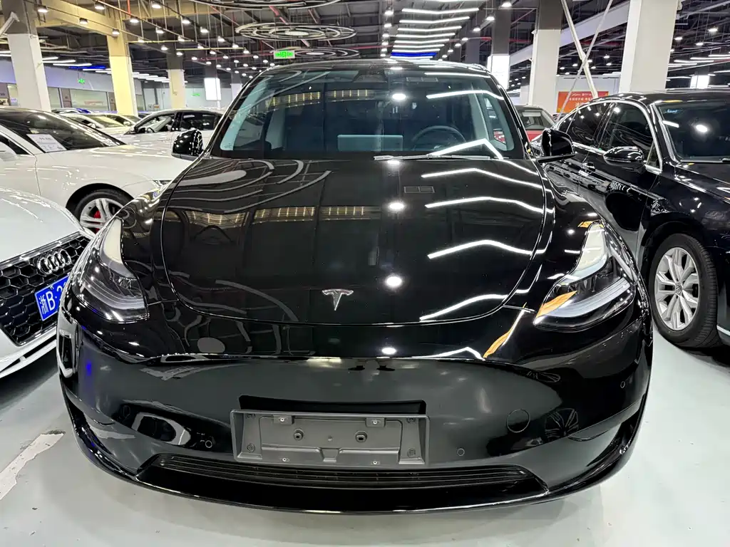 Tesla Model Y — миниатюра 2