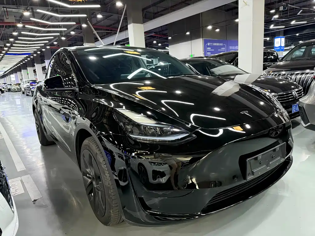 Tesla Model Y — миниатюра 3