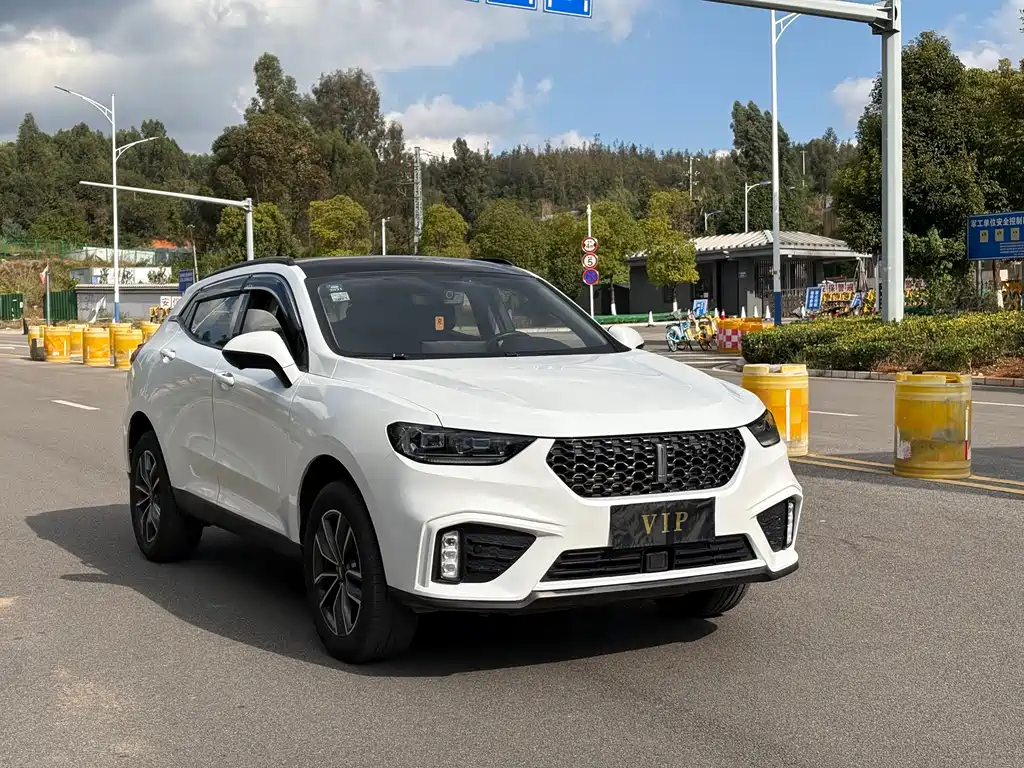 WEI PAI WEI BRAND VV5