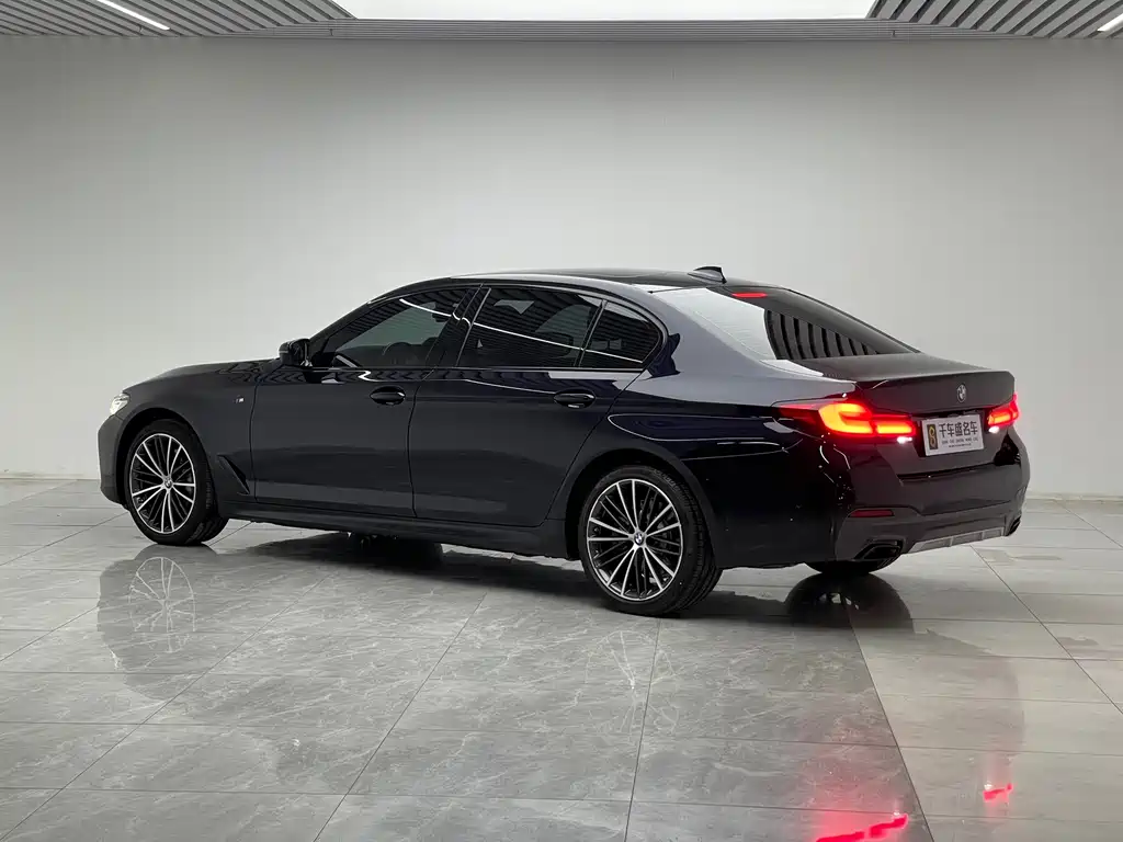 BMW 5 Series — миниатюра 4