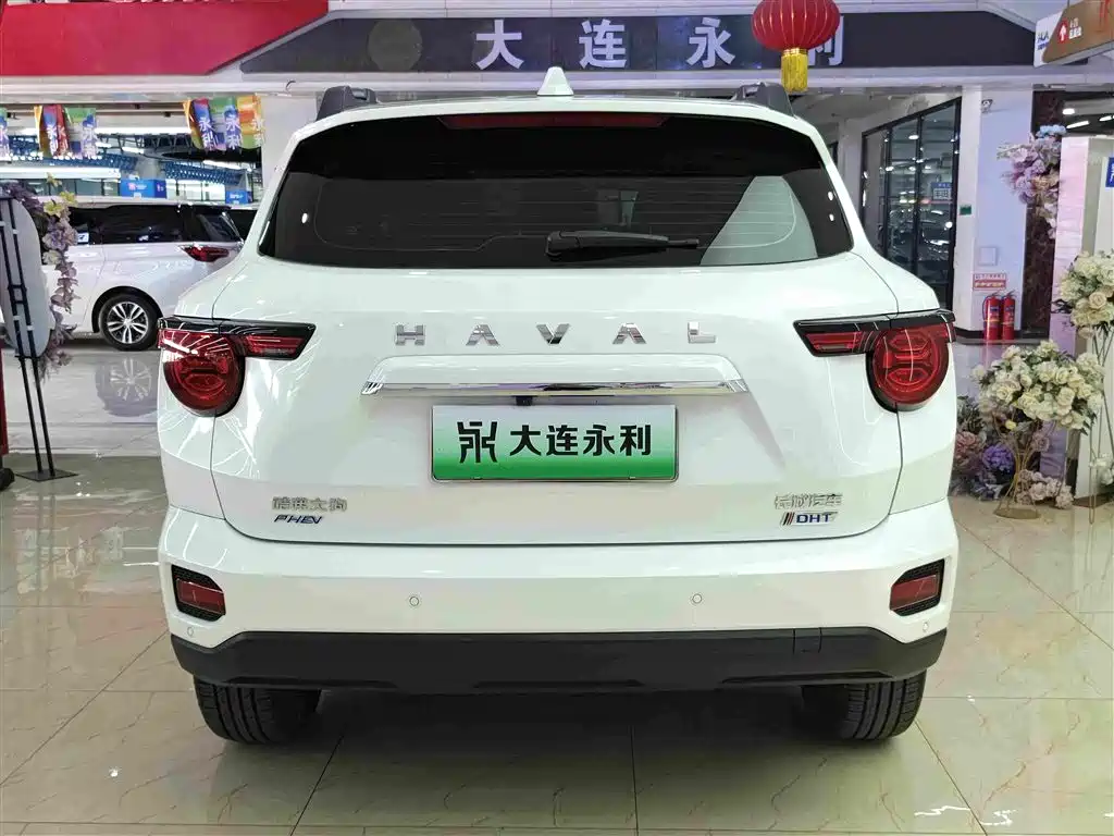 Haval Big Dog PLUS New Energy — миниатюра 13