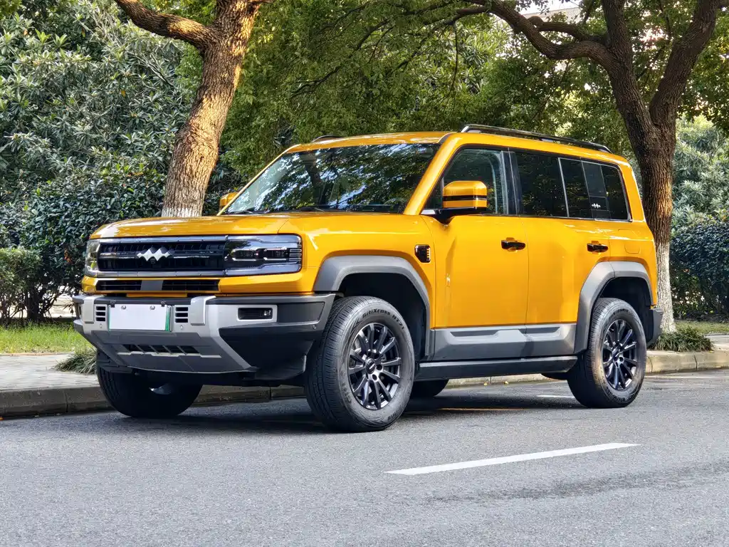 FANG CHENG BAO LEOPARD 5