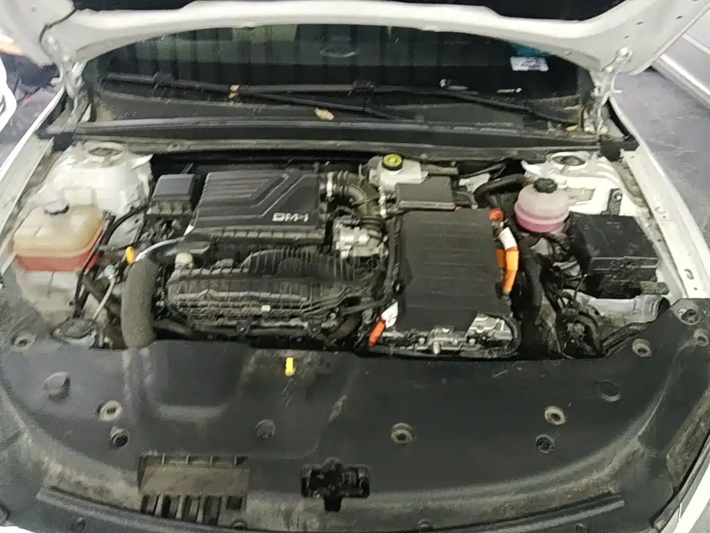 BYD Qin PLUS — миниатюра 20