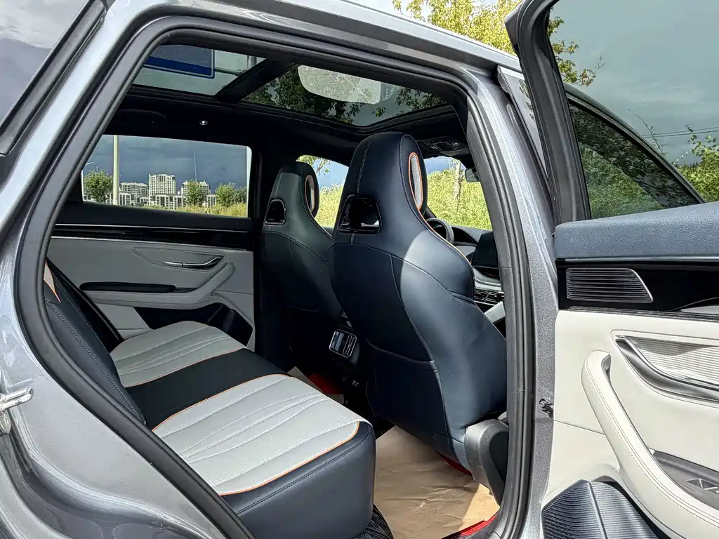 BYD PLUS — миниатюра 11