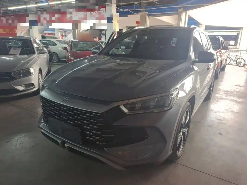 BYD Pro New Energy — миниатюра 2