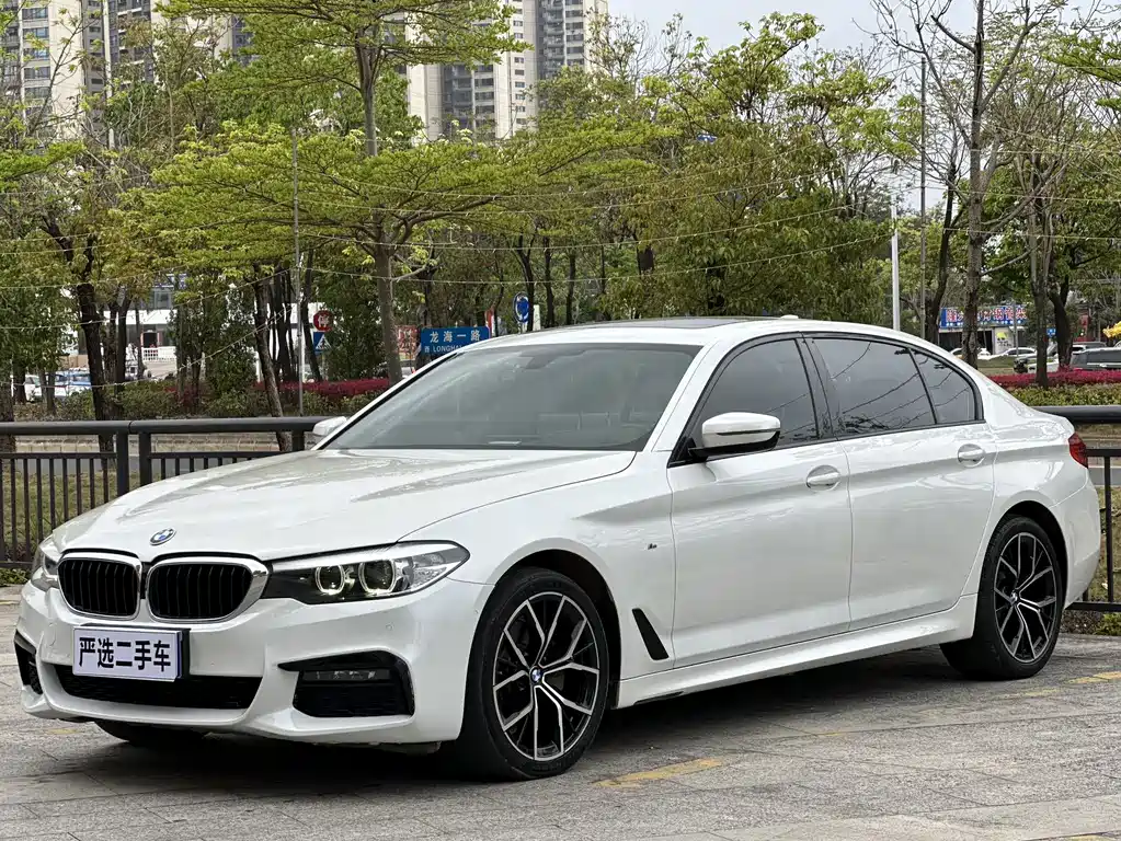 BMW 5 Series 2019