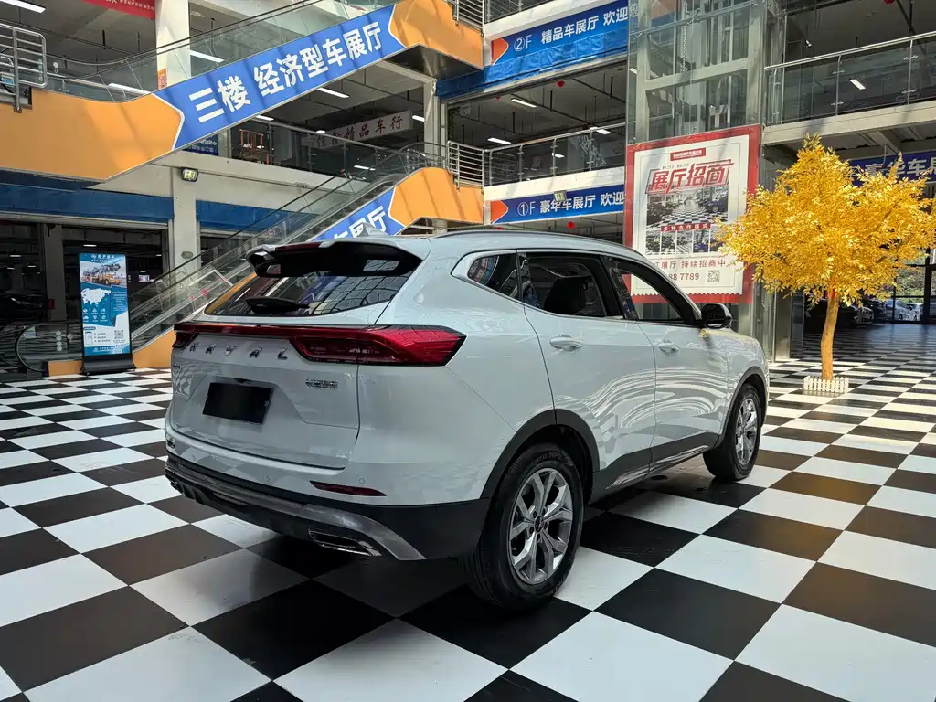 Haval H6 — миниатюра 5