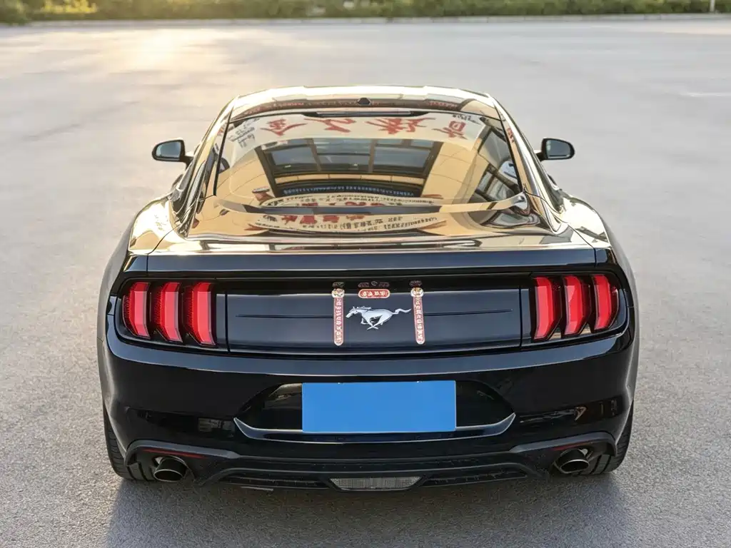 Ford Mustang — миниатюра 4