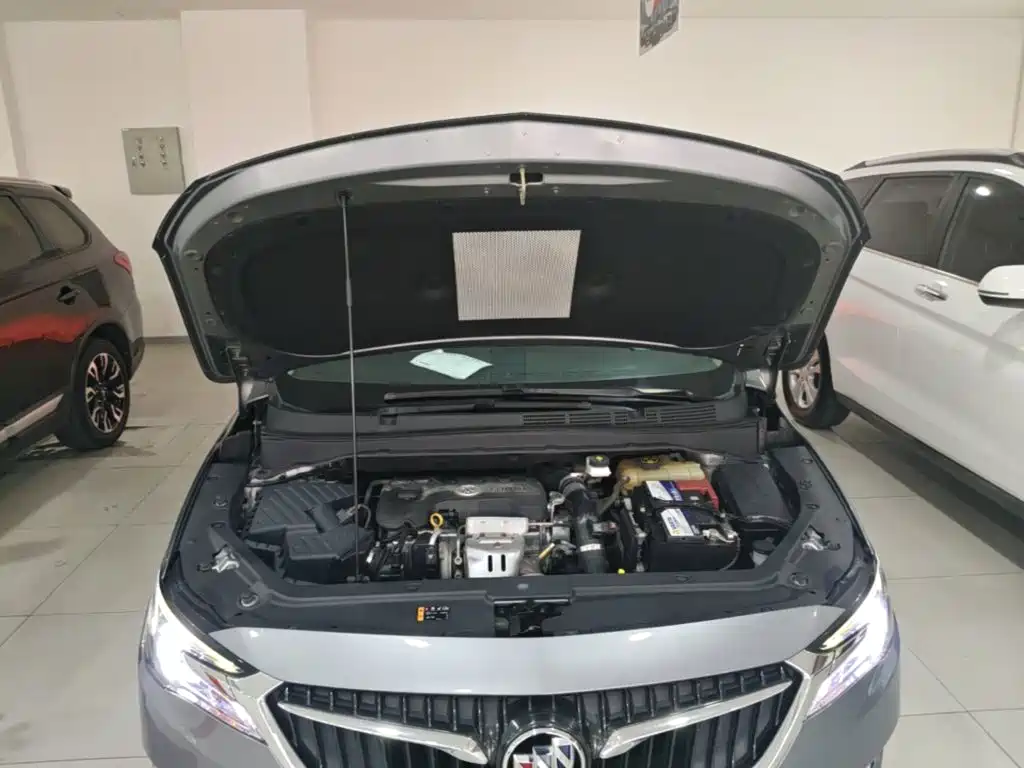 Buick GL6 — миниатюра 20