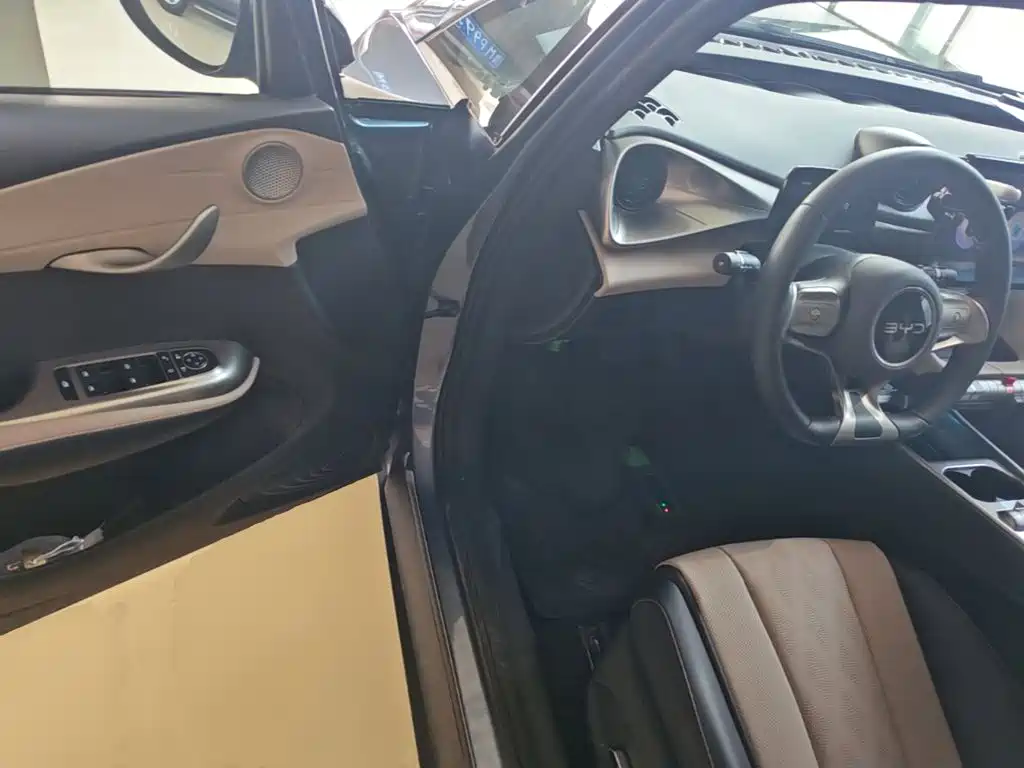 BYD Dolphin — миниатюра 16