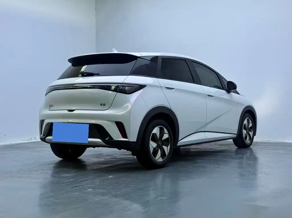 BYD Dolphin — миниатюра 5