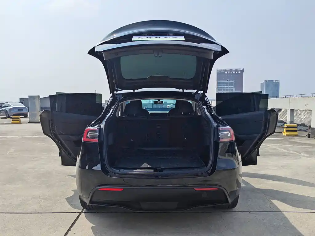 Tesla Model Y — миниатюра 8