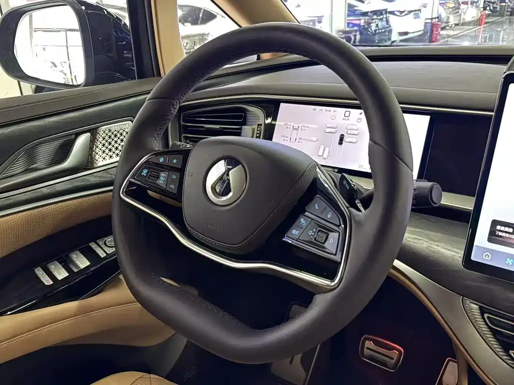 Denza Denza D9 — миниатюра 10