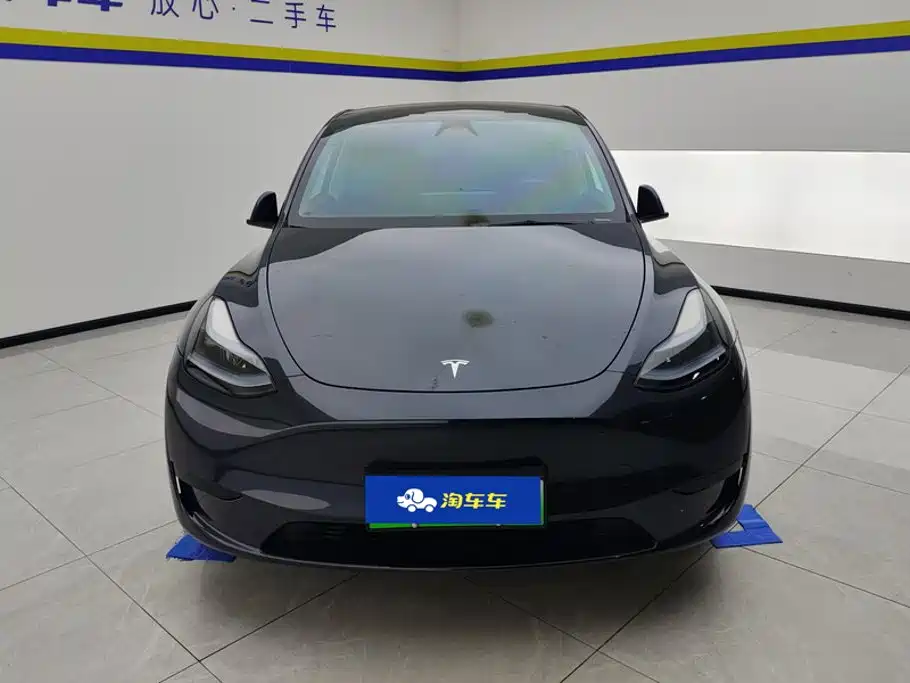 Tesla Model Y — миниатюра 2