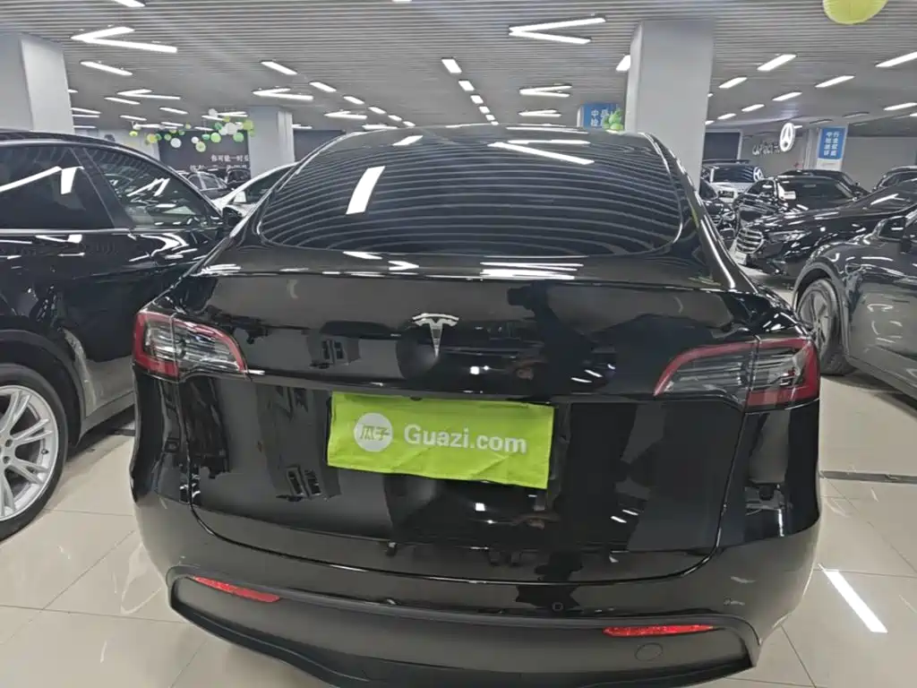 Tesla Model Y — миниатюра 6