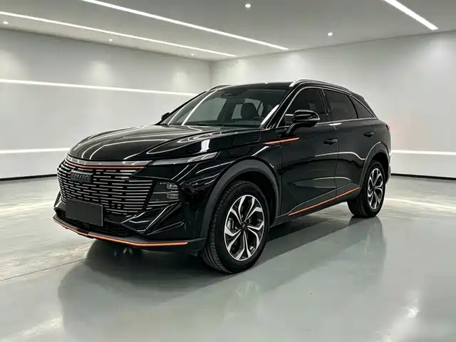 2022 Haval Shenshou