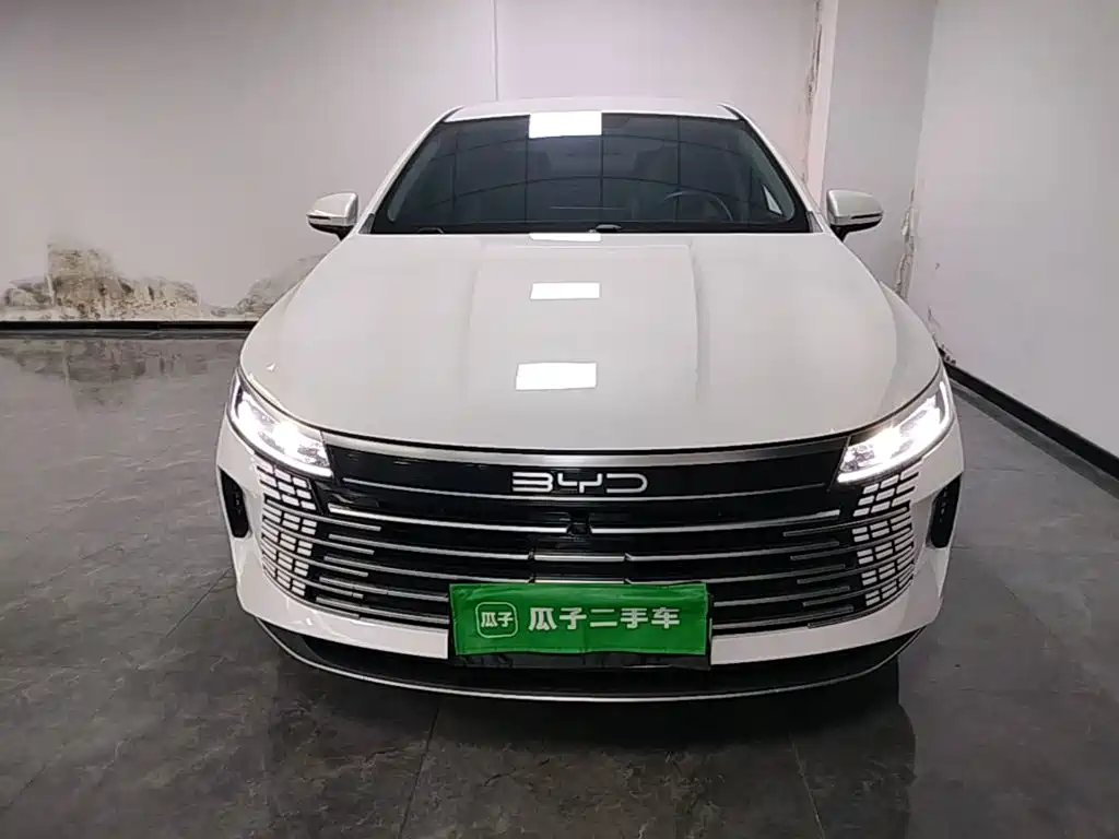 BYD Destroyer 05 — миниатюра 3
