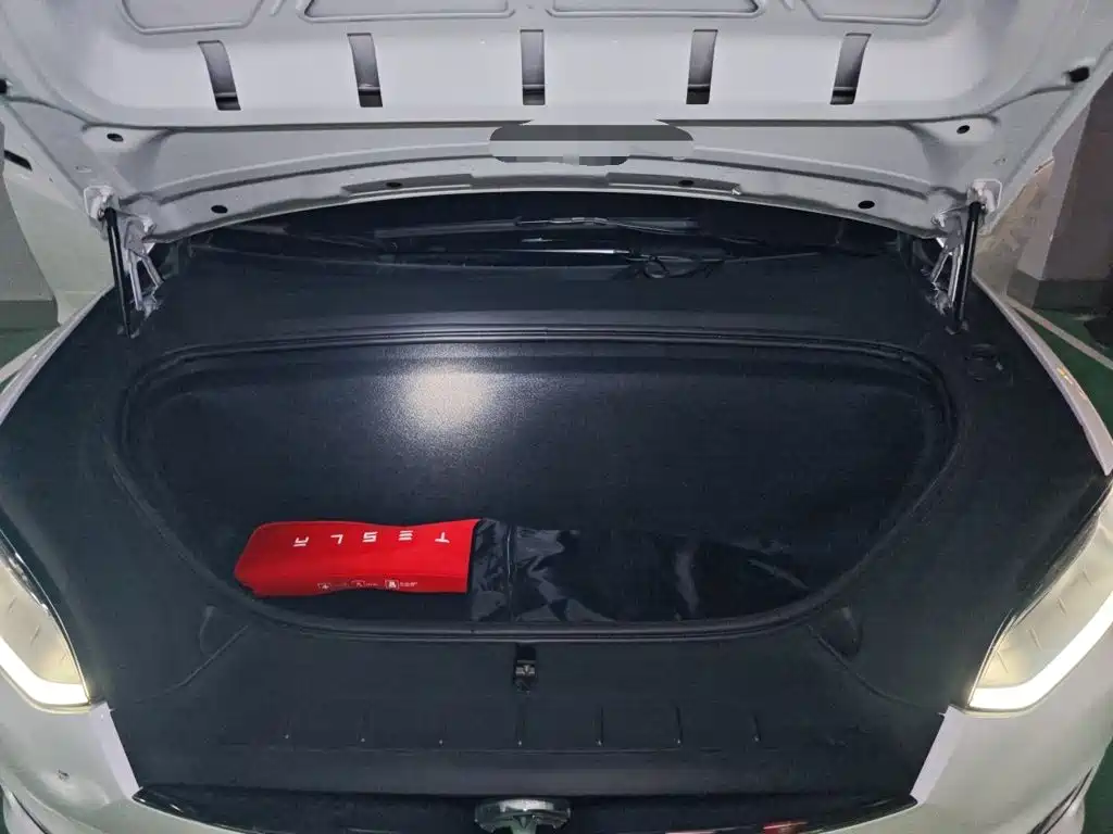 Tesla Model X — миниатюра 21