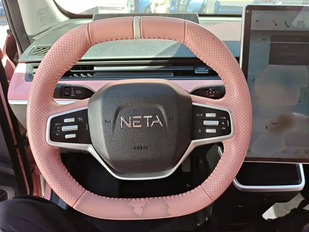 Neta Neta V — миниатюра 11