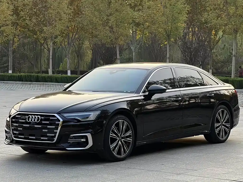 Audi A6L — миниатюра 12