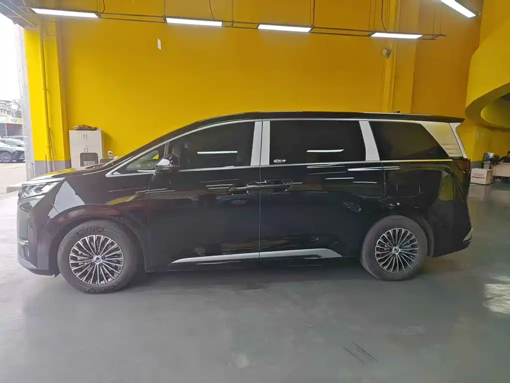 Denza Denza D9 — миниатюра 6
