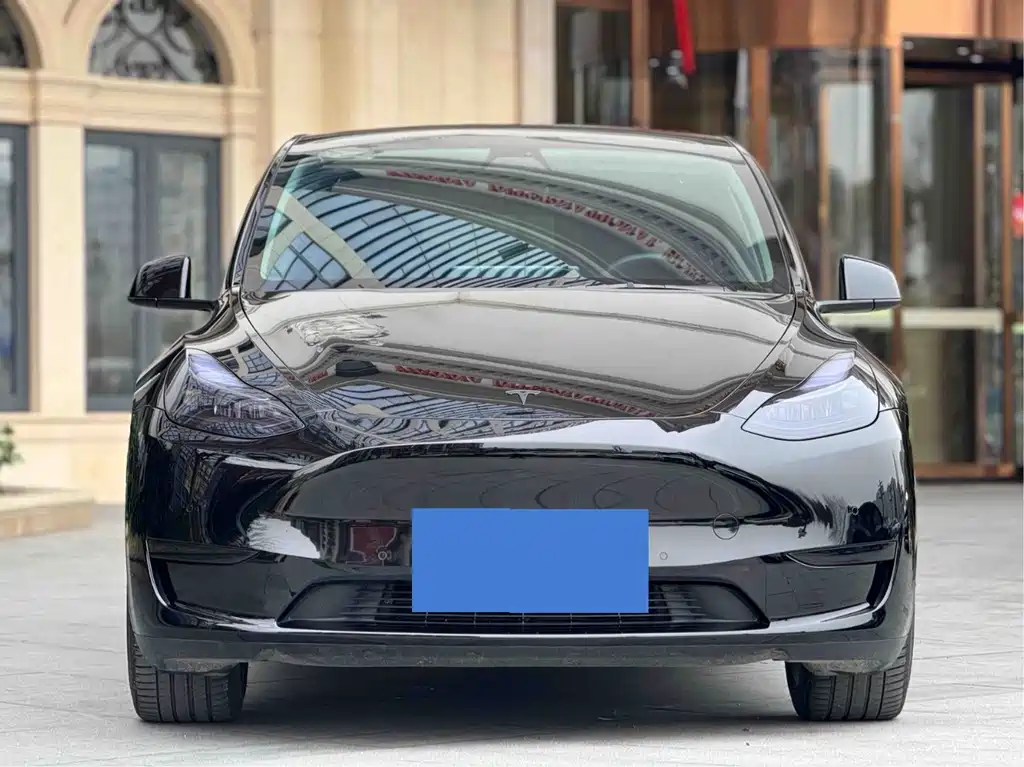 Tesla Model Y — миниатюра 3