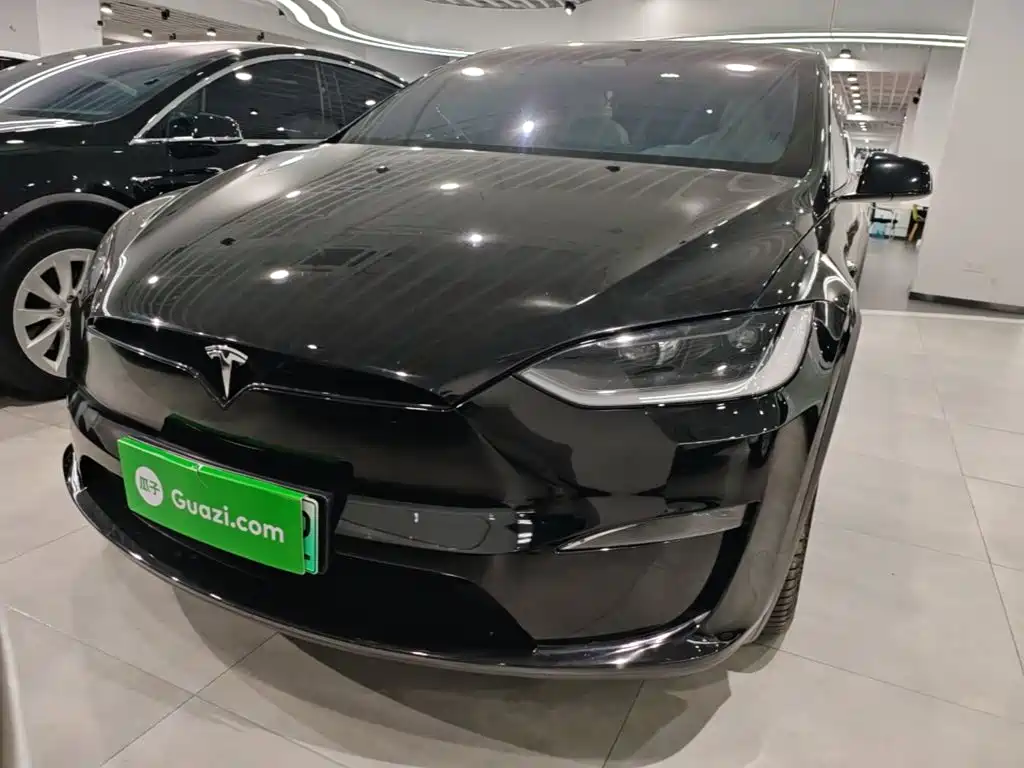 Tesla Model X — миниатюра 3