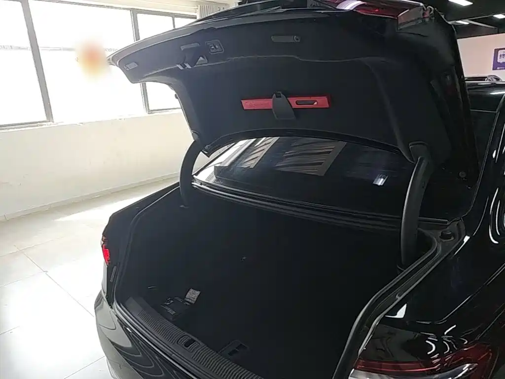 Audi A8 — миниатюра 19