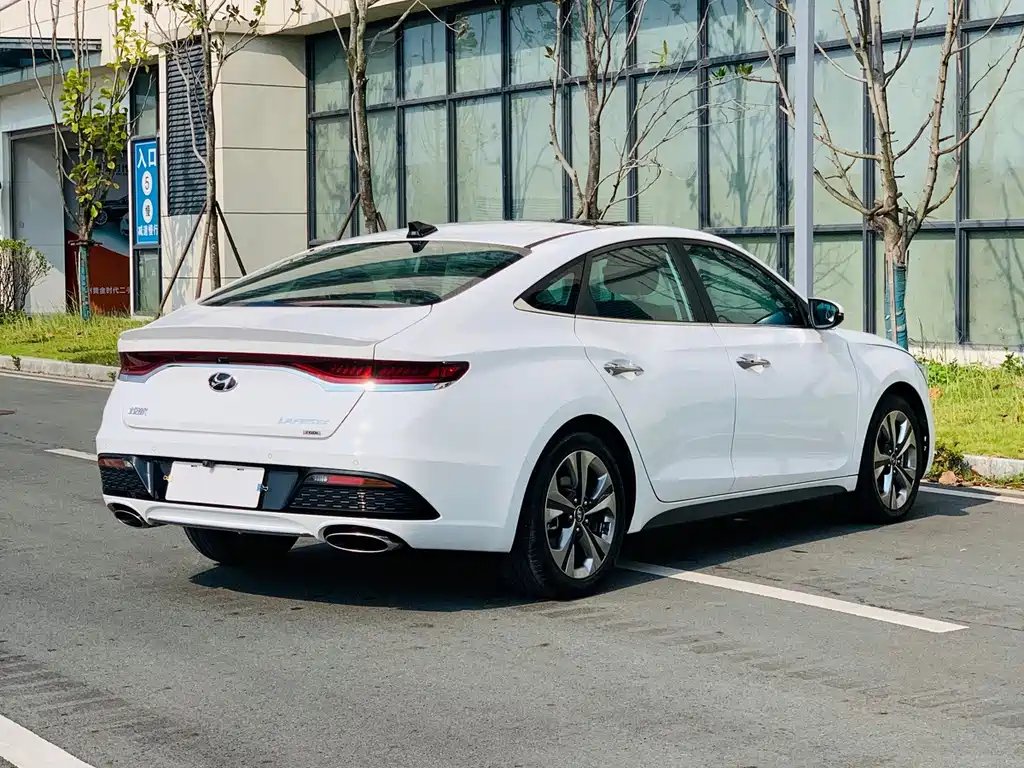 Hyundai Fista — миниатюра 8