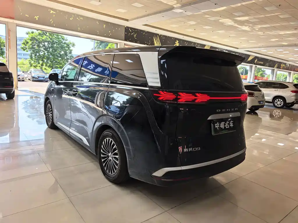 Denza Denza D9 — миниатюра 18
