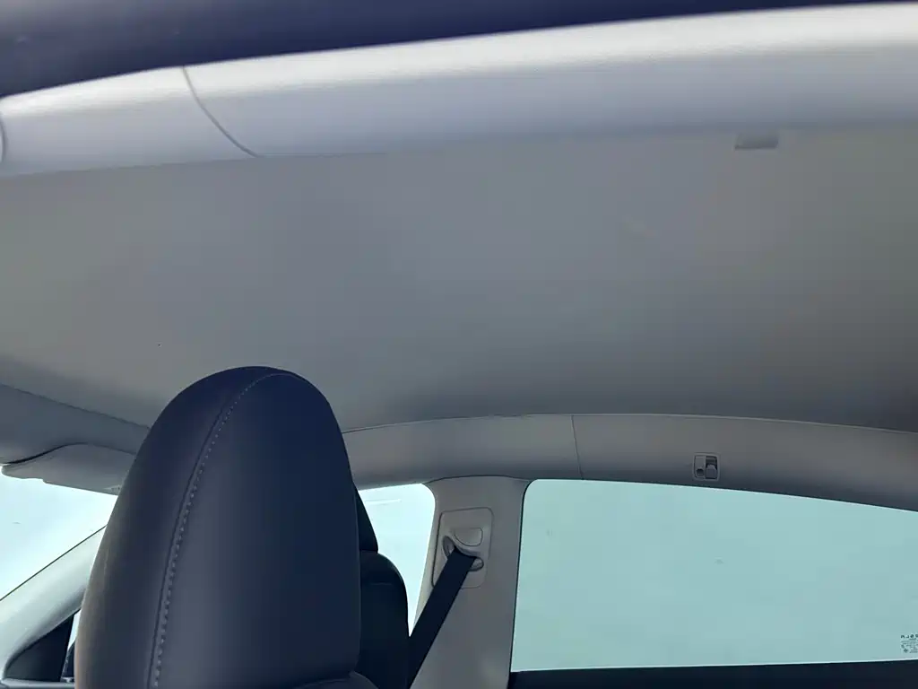 Tesla Model Y — миниатюра 19