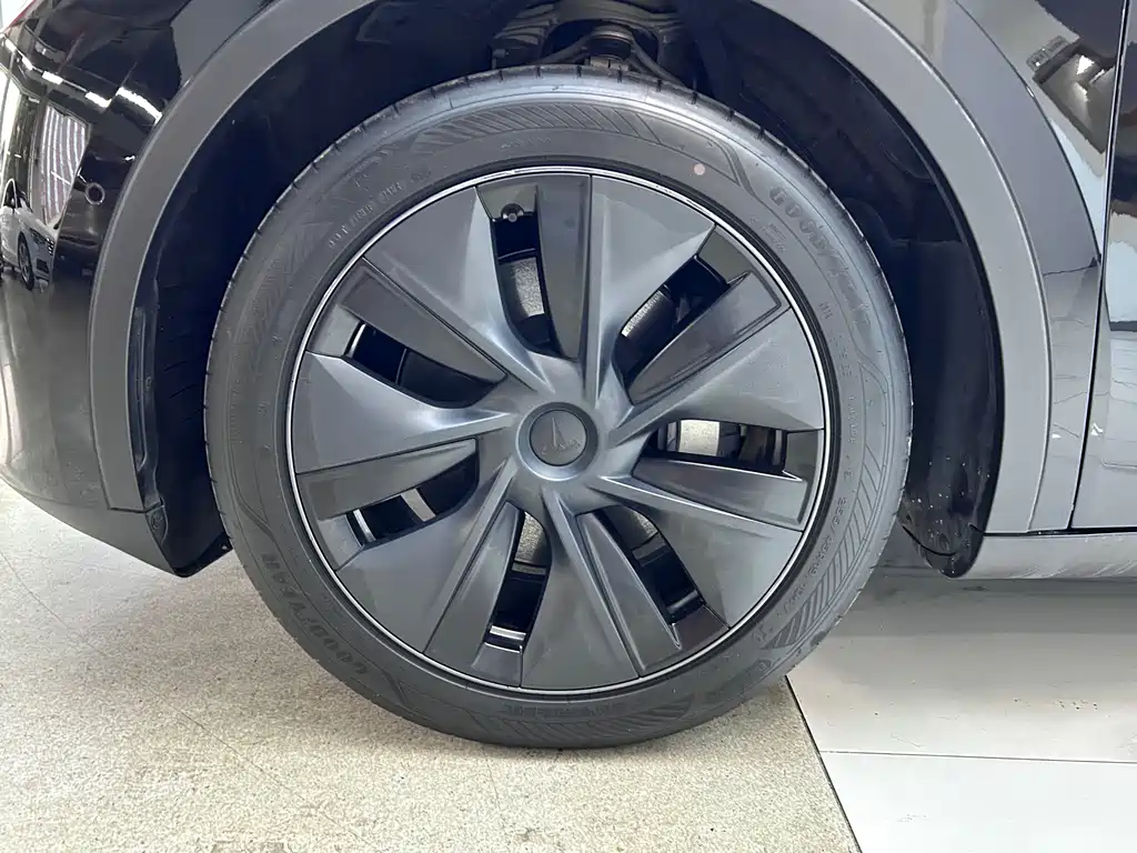 Tesla Model Y — миниатюра 29