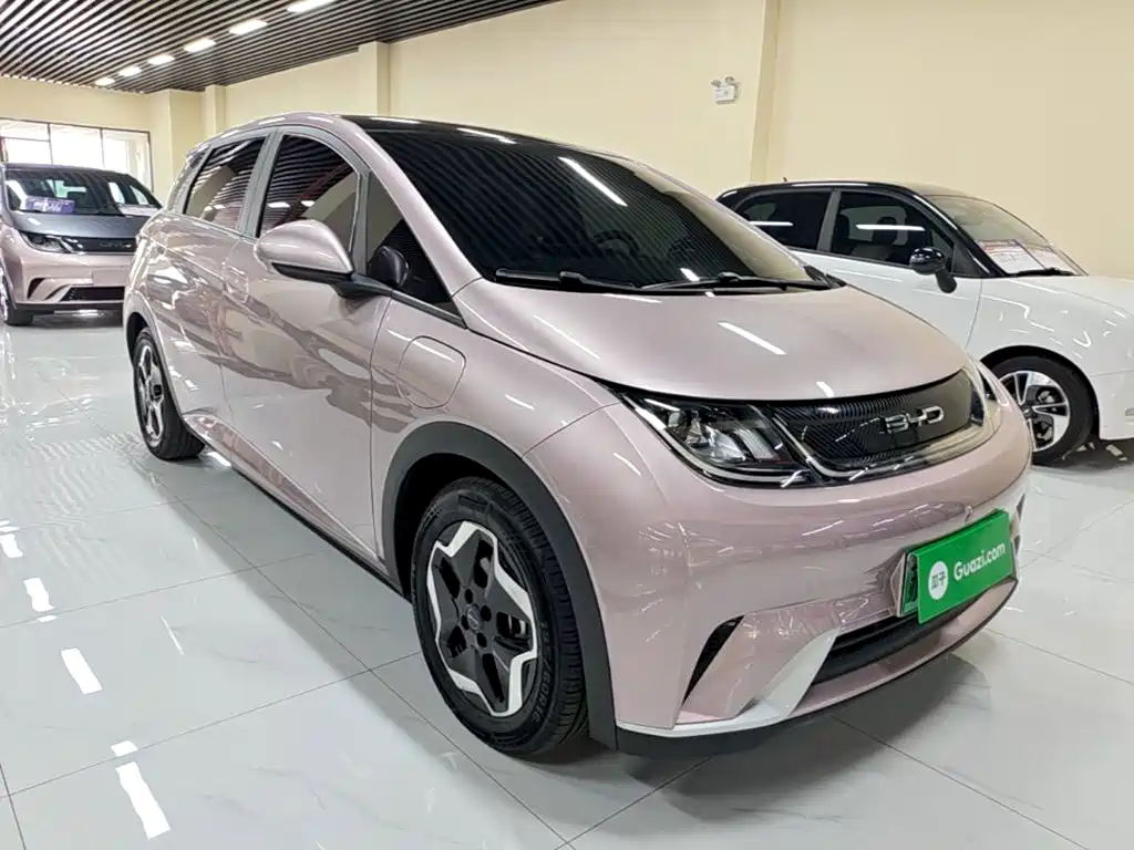 BYD Dolphin — миниатюра 4