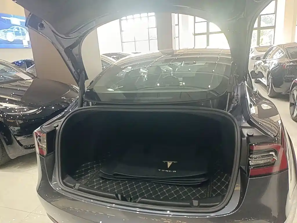 Tesla Model 3 — миниатюра 19