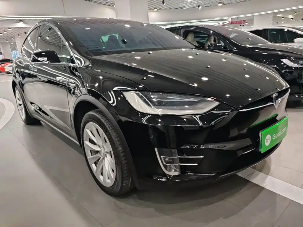 Tesla Model X — миниатюра 4