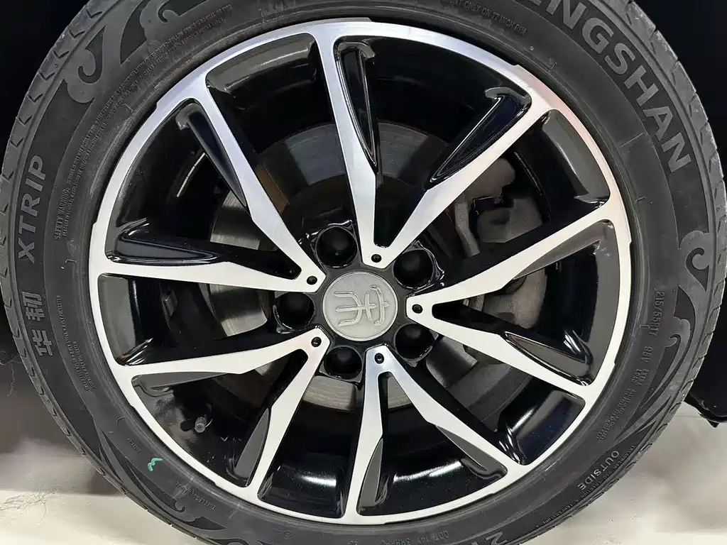 BYD MAX — миниатюра 16
