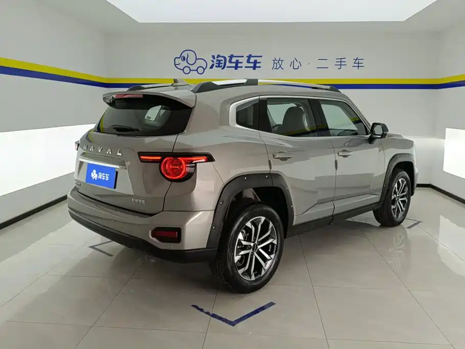 Haval Haval Big Dog PLUS — миниатюра 3