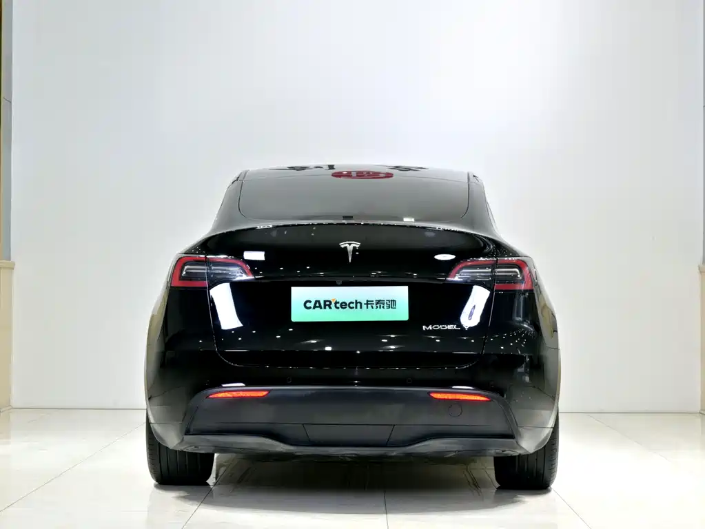 Tesla Model Y — миниатюра 24