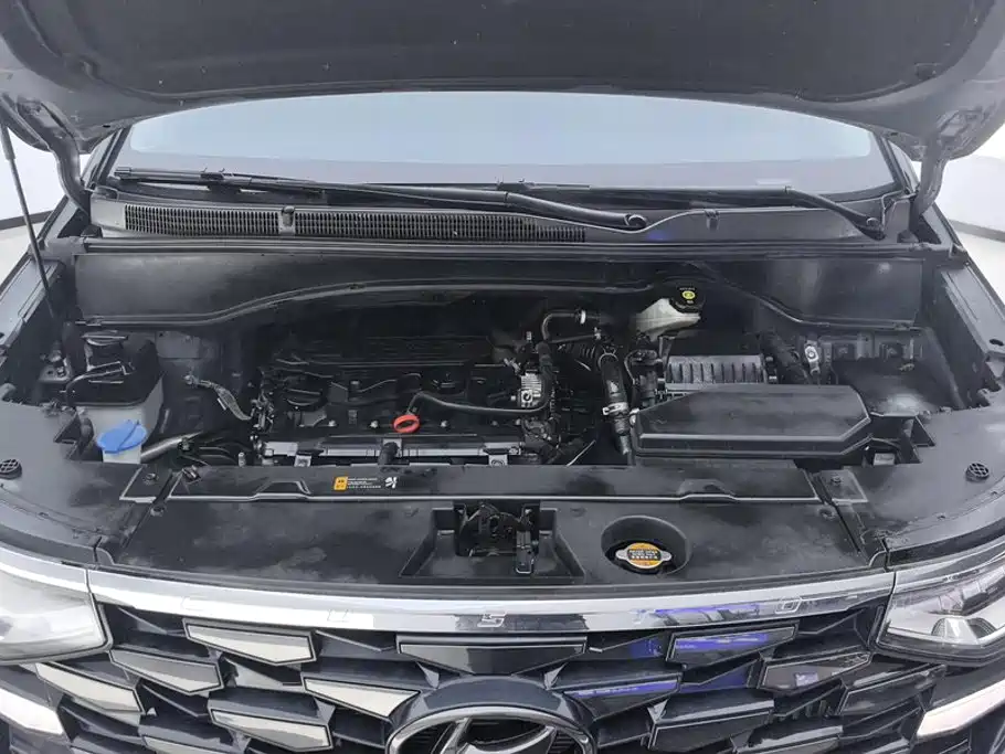 Hyundai Custo 2021 270TGDi Luxury LUX