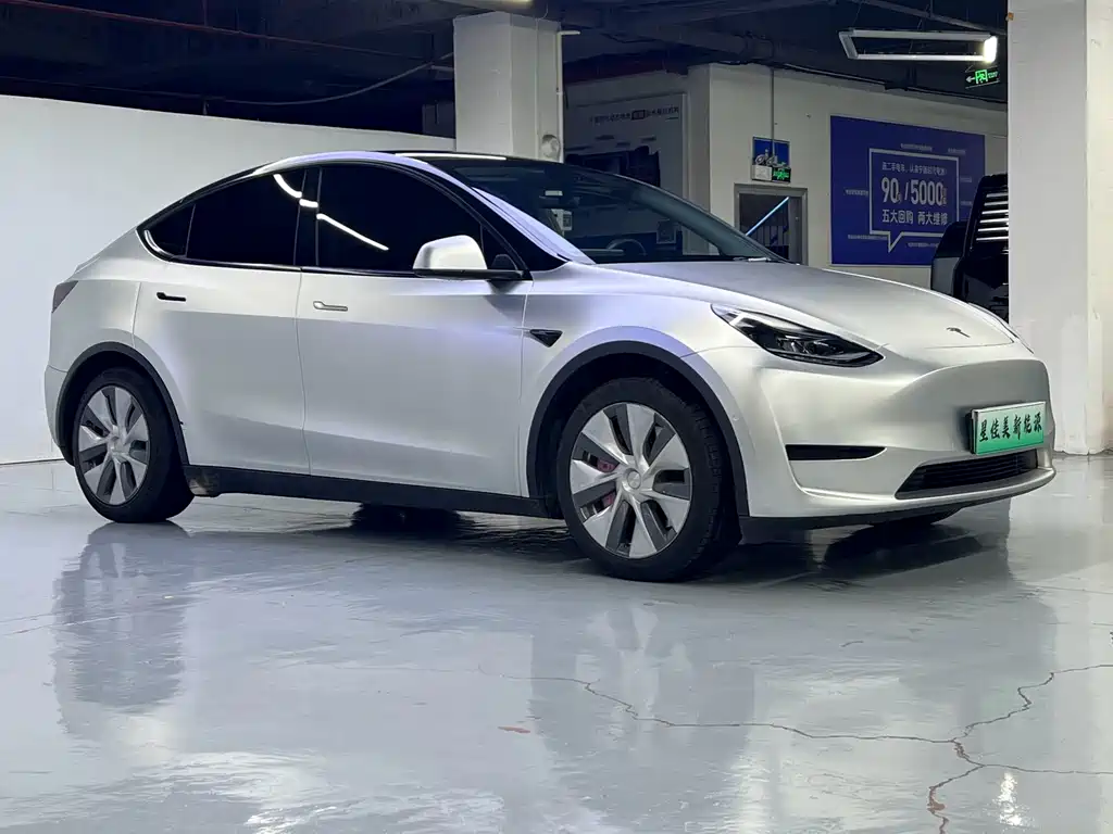 Tesla Model Y — миниатюра 3