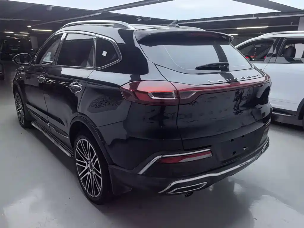 Leopaard Mattu — миниатюра 5