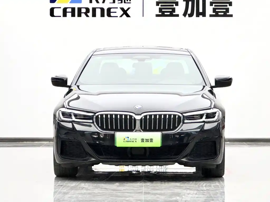 BMW 5 Series New Energy — миниатюра 2