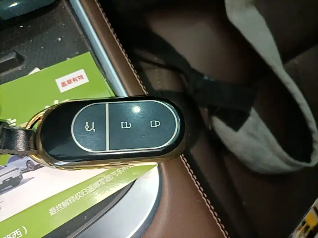 Leapmotor Leapmotor C01 — миниатюра 9