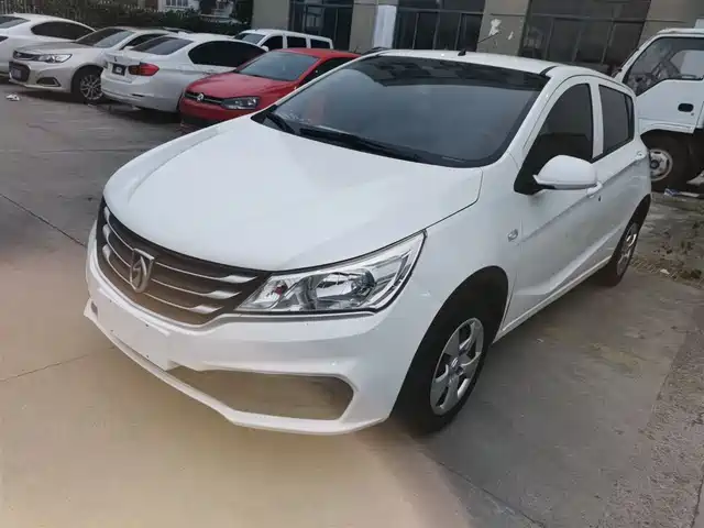 BAOJUN  310 2018